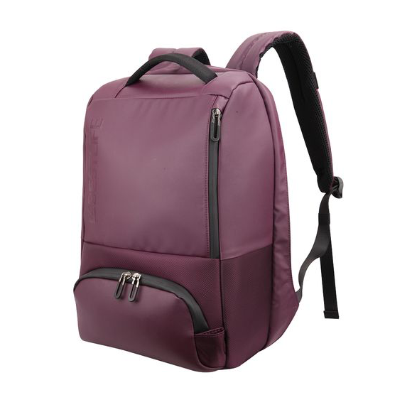 Bestlife - Anti Theft Computer Backpack - Purple