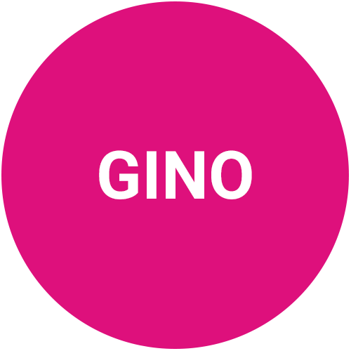 gino-de-vinci-instagram